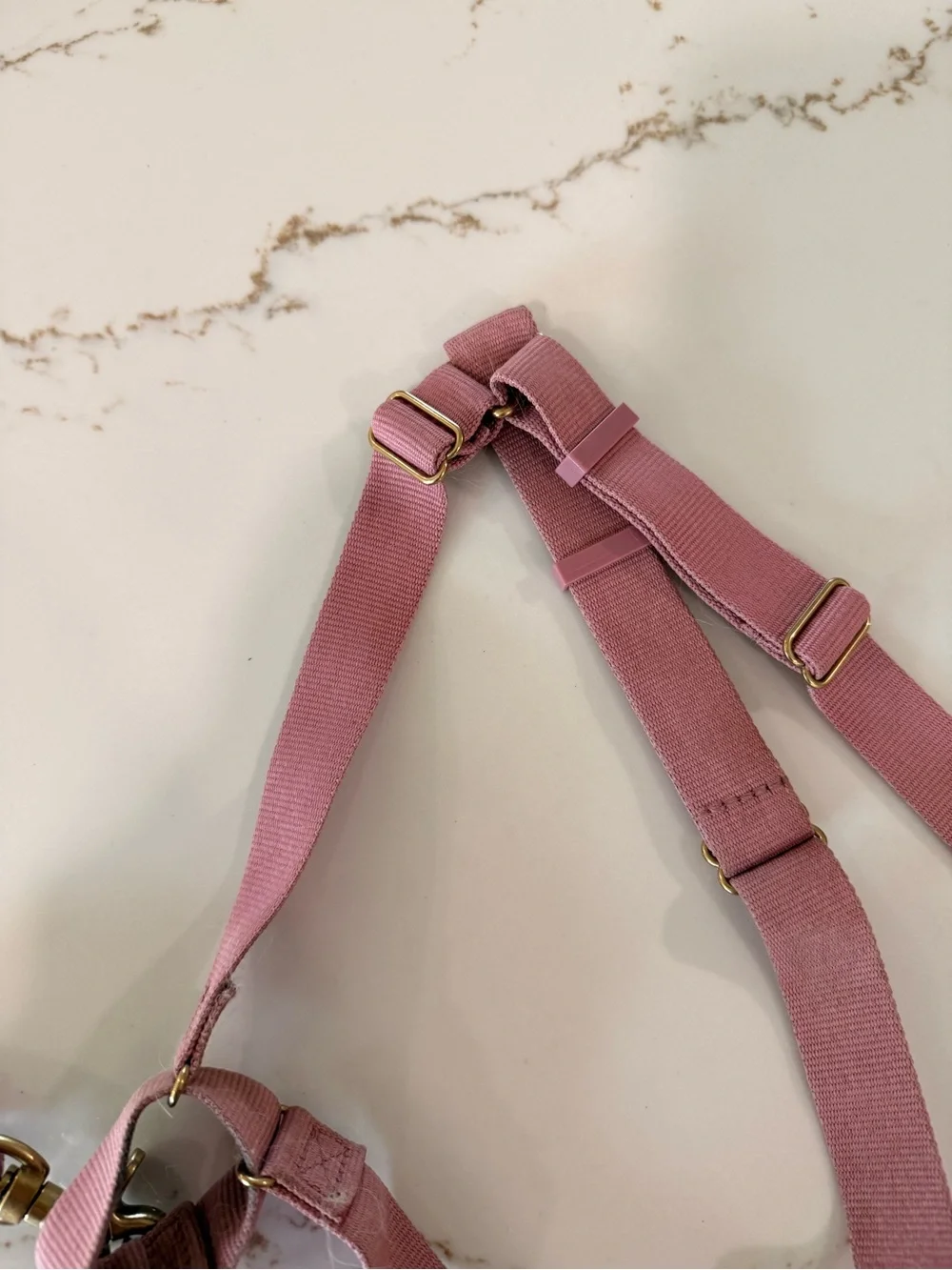 AWOO Roam Harness in Large & Infinity Leash